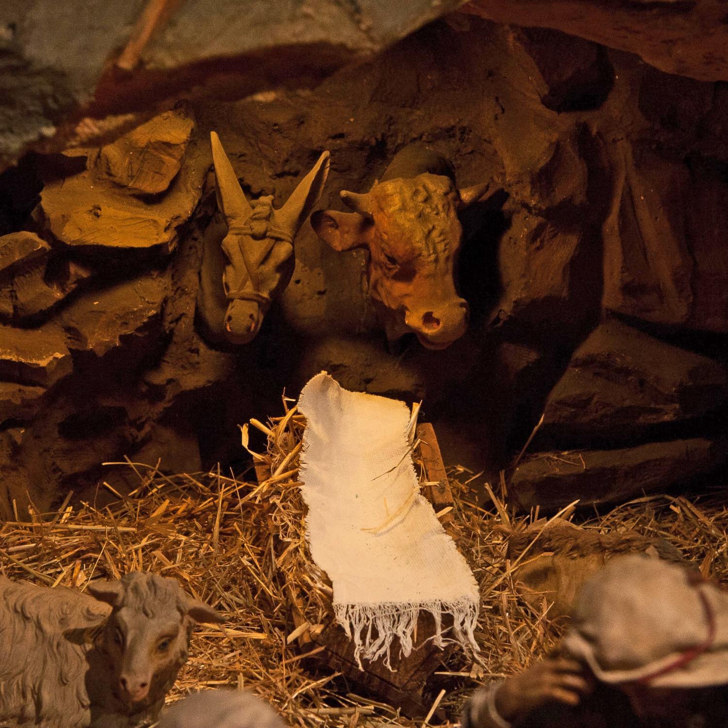 Impulse von Pfarrvikar Philipp Janek