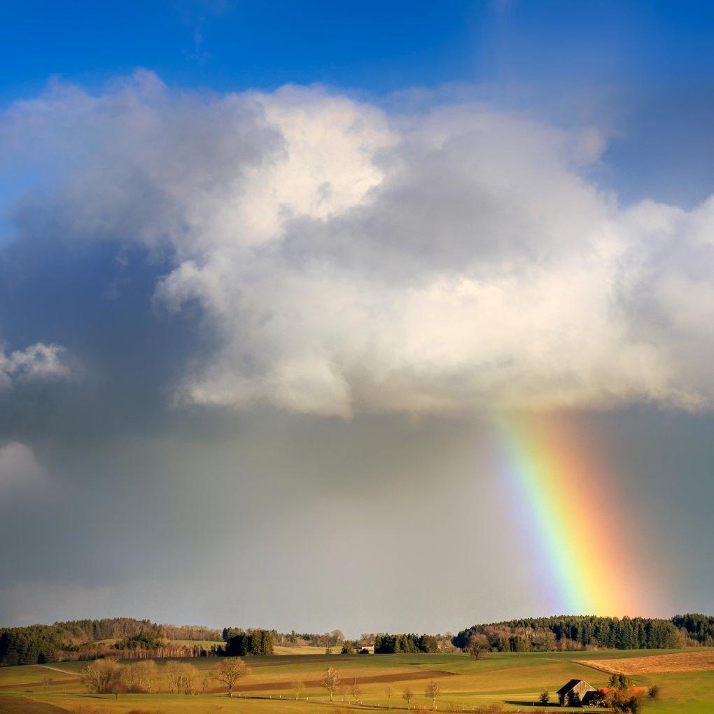 Regenbogen