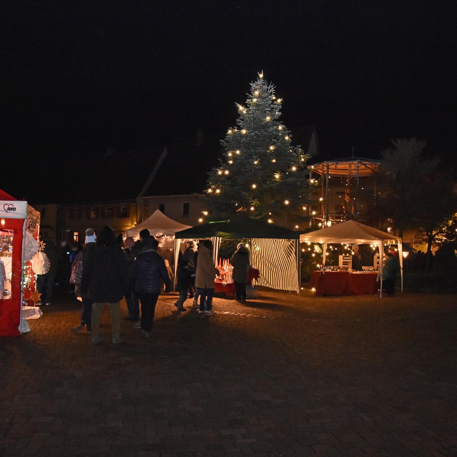 Krippeneröffnung mit Adventsmarkt 2026